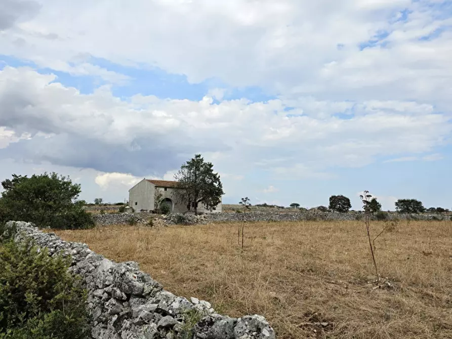 Immagine 2 di Appartamento in vendita  a Matera
