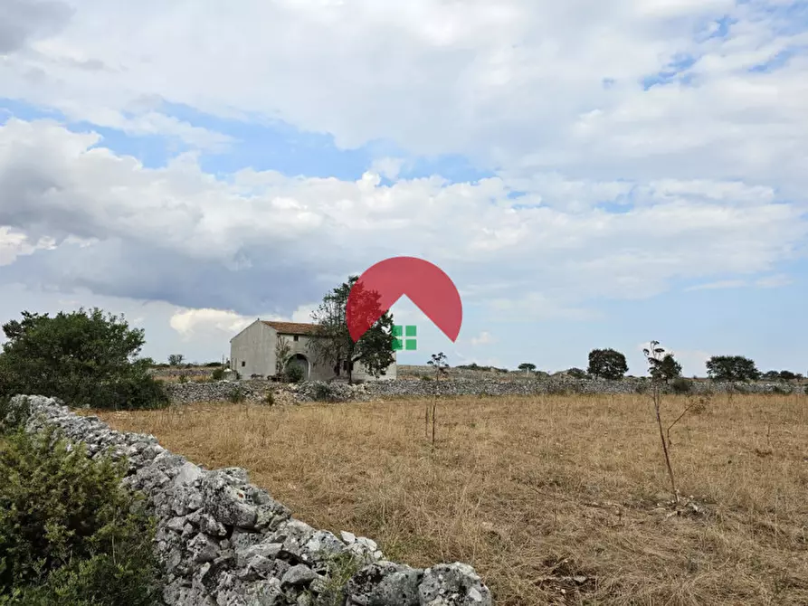 Immagine 4 di Appartamento in vendita  a Matera