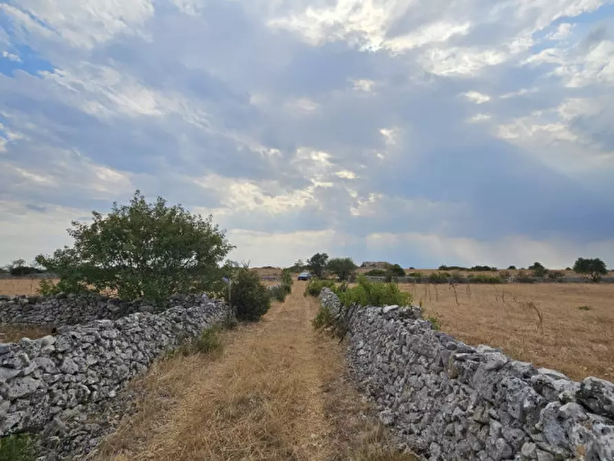Immagine 5 di Appartamento in vendita  a Matera
