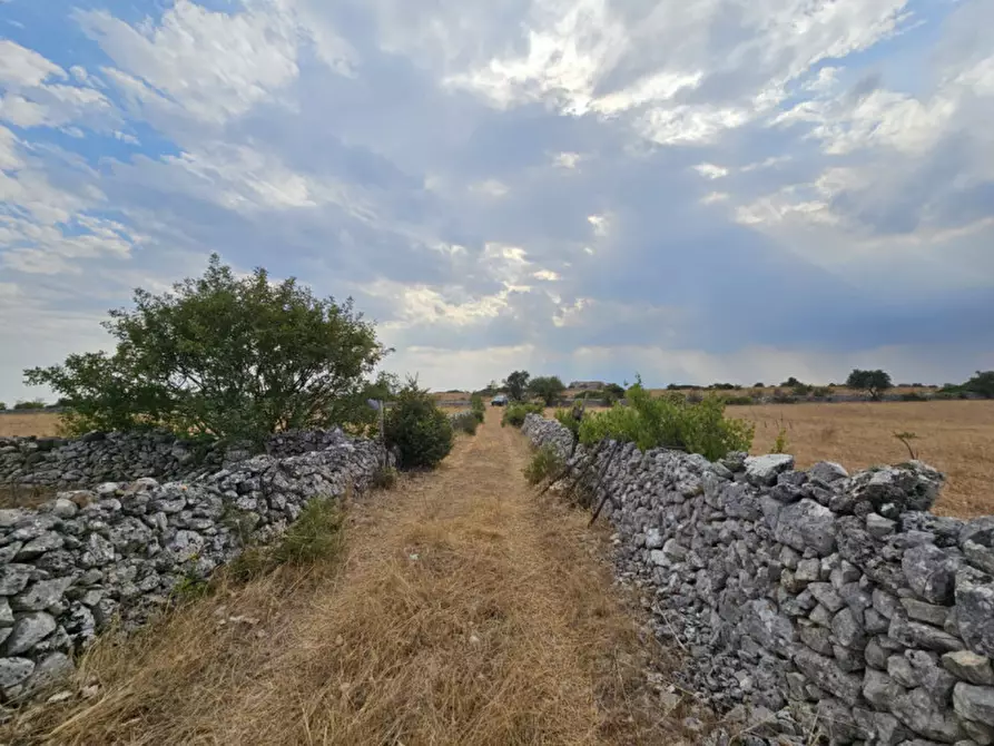 Immagine 7 di Appartamento in vendita  a Matera