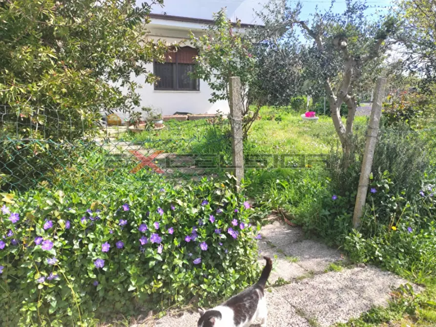 Immagine 4 di Casa bifamiliare in vendita  in Via G. Matteotti, 20 Bis a Cavarzere