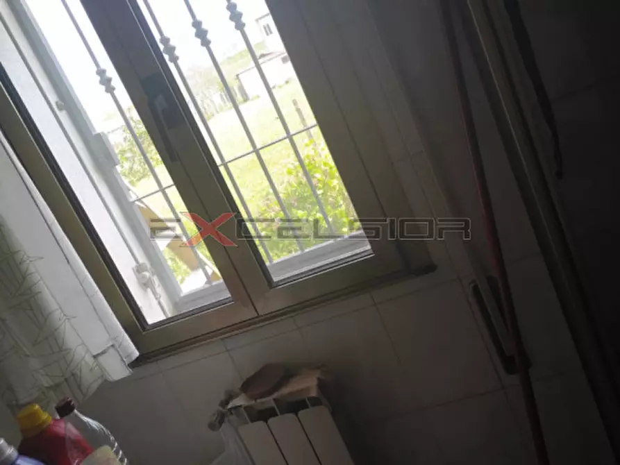 Immagine 19 di Casa bifamiliare in vendita  in Via G. Matteotti, 20 Bis a Cavarzere