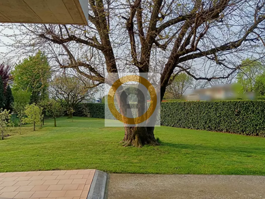 Immagine 3 di Casa indipendente in vendita  a Bassano Del Grappa