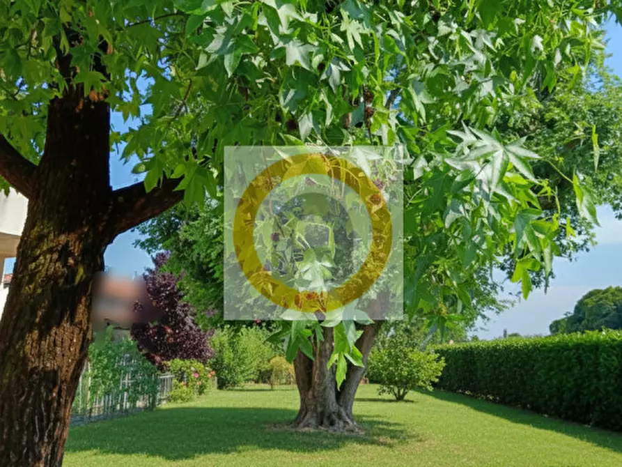 Immagine 4 di Casa indipendente in vendita  a Bassano Del Grappa