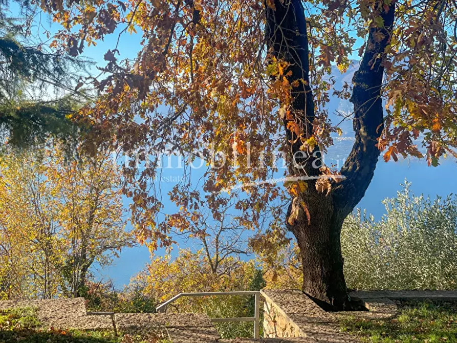 Immagine 14 di Villa in vendita  in Via A. Aleardi a Torri Del Benaco