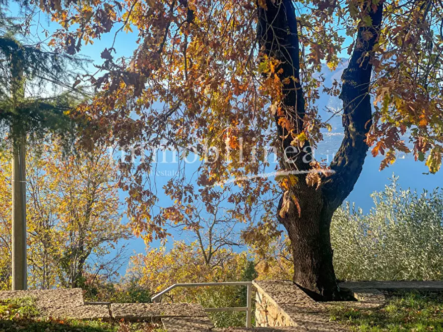 Immagine 15 di Villa in vendita  in Via A. Aleardi a Torri Del Benaco