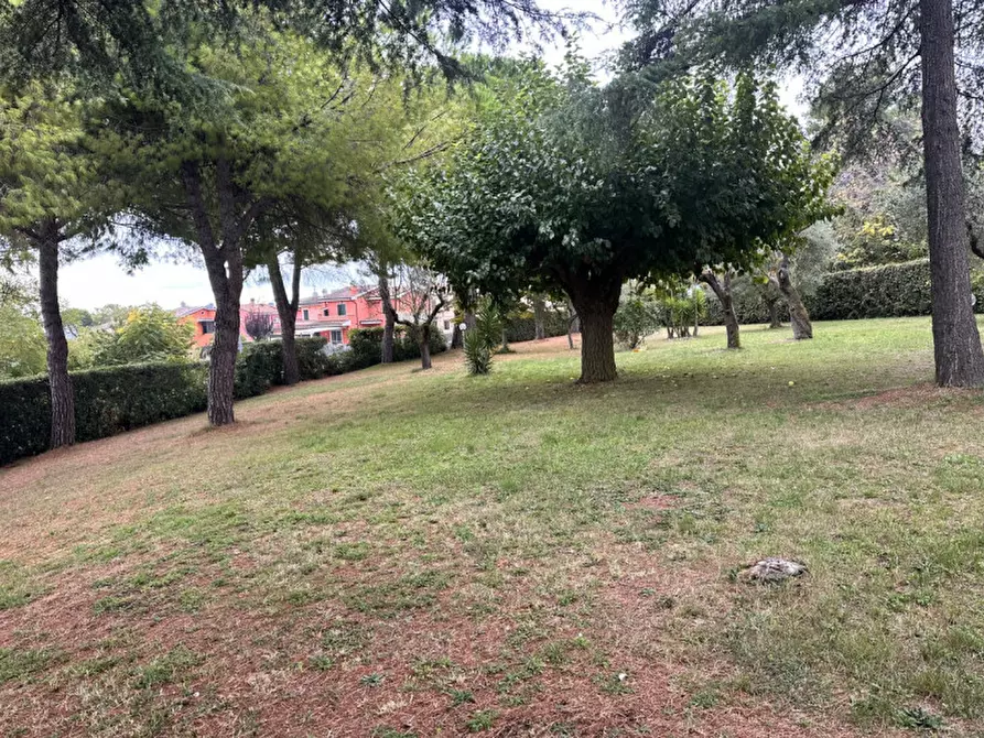 Immagine 11 di Villa in vendita  in Via Monte Colombo  2 a Sirolo