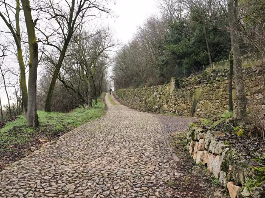 Immagine 5 di Camera in affitto  a Alonte