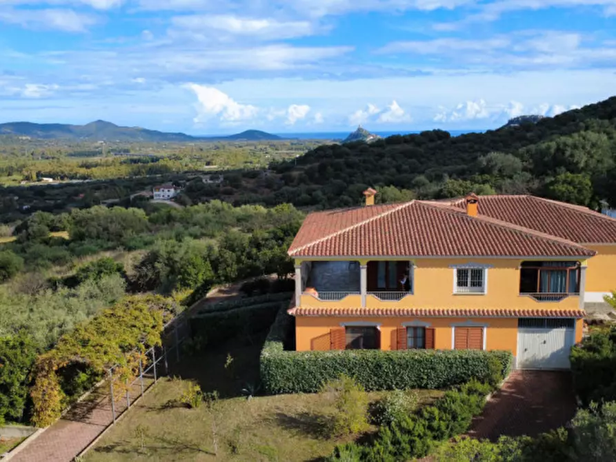 Immagine 1 di Villa in vendita  in Località Sas Vides a Torpè