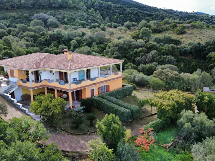 Immagine 2 di Villa in vendita  in Località Sas Vides a Torpè