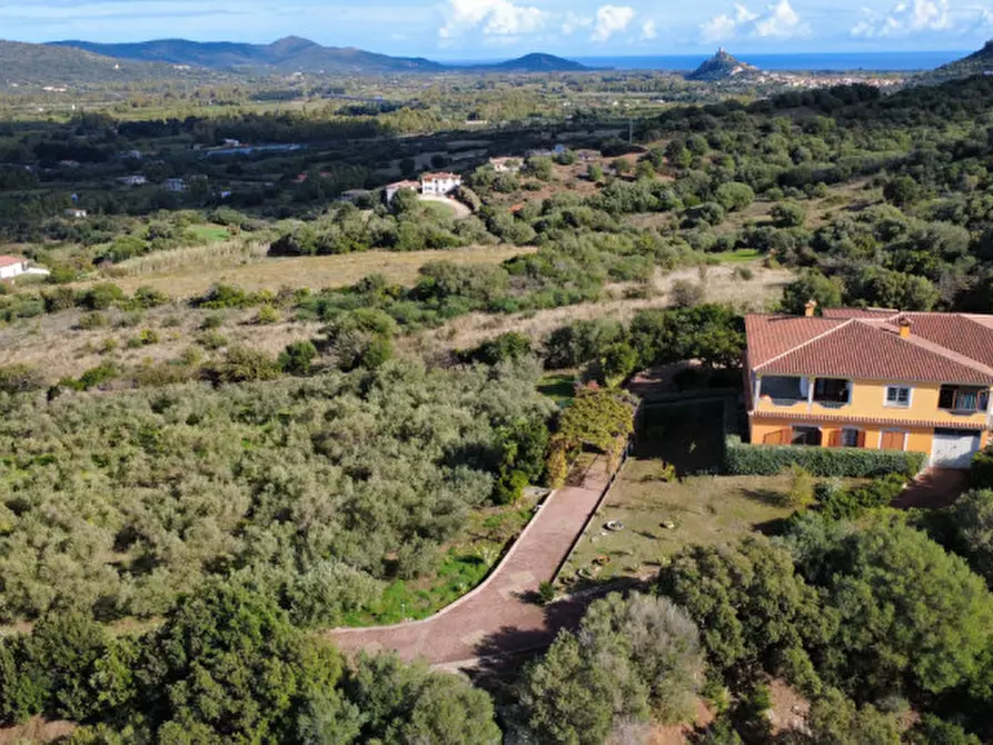 Immagine 5 di Villa in vendita  in Località Sas Vides a Torpè