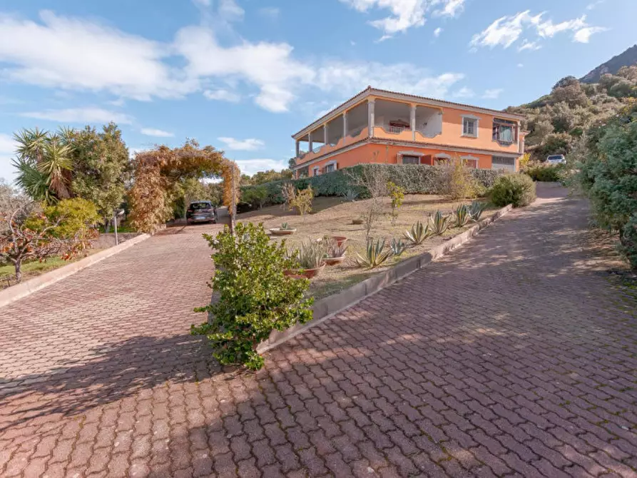 Immagine 12 di Villa in vendita  in Località Sas Vides a Torpè