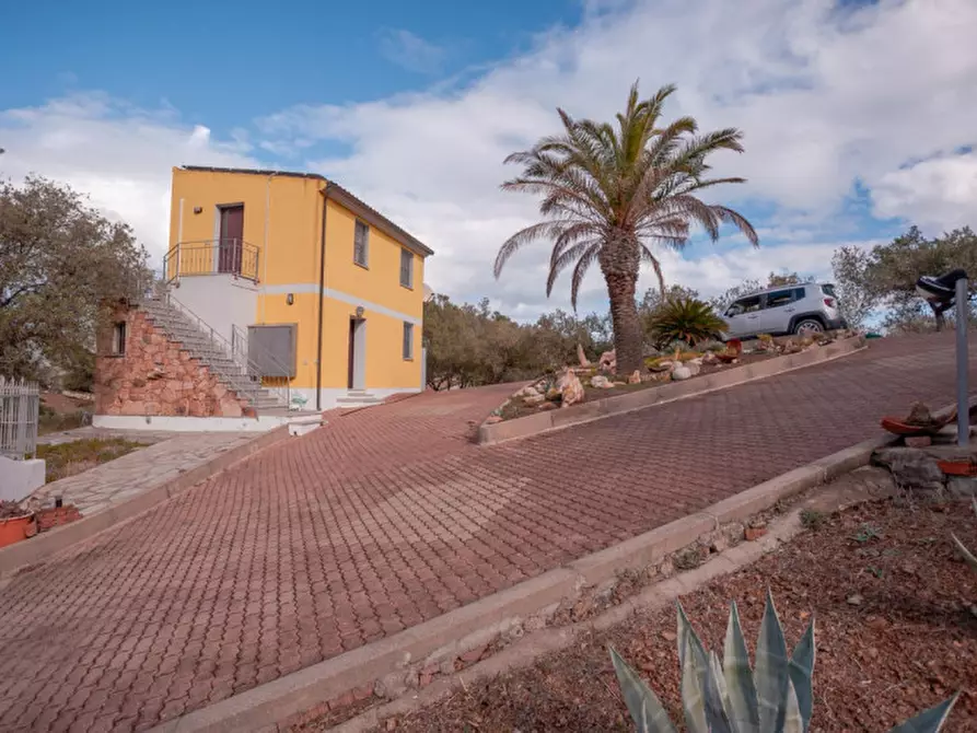 Immagine 55 di Villa in vendita  in Località Sas Vides a Torpè