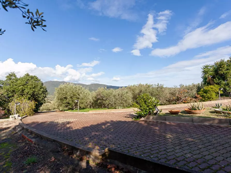 Immagine 82 di Villa in vendita  in Località Sas Vides a Torpè