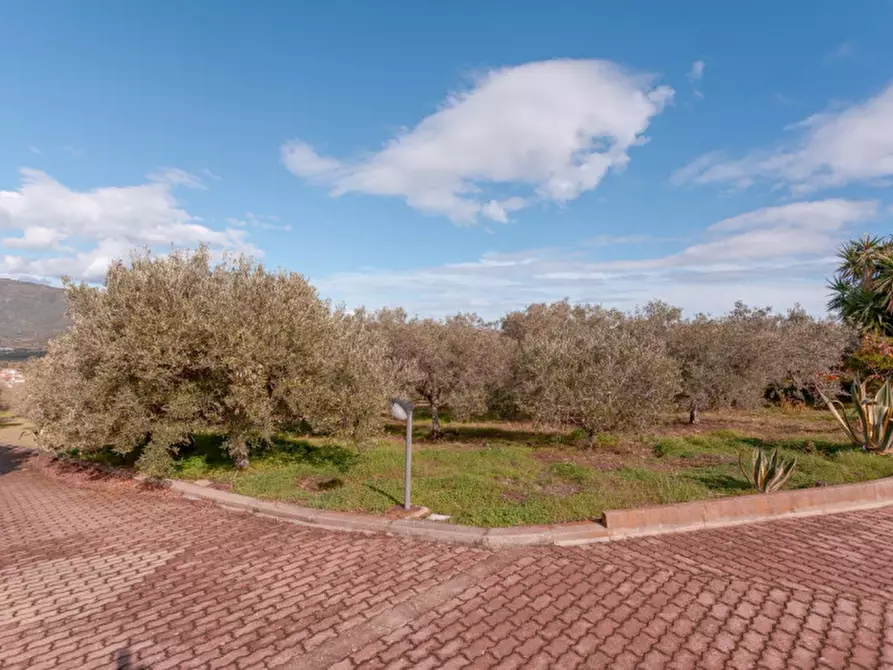 Immagine 91 di Villa in vendita  in Località Sas Vides a Torpè