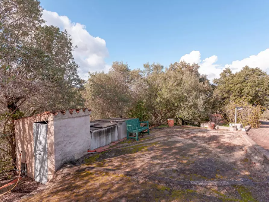 Immagine 93 di Villa in vendita  in Località Sas Vides a Torpè
