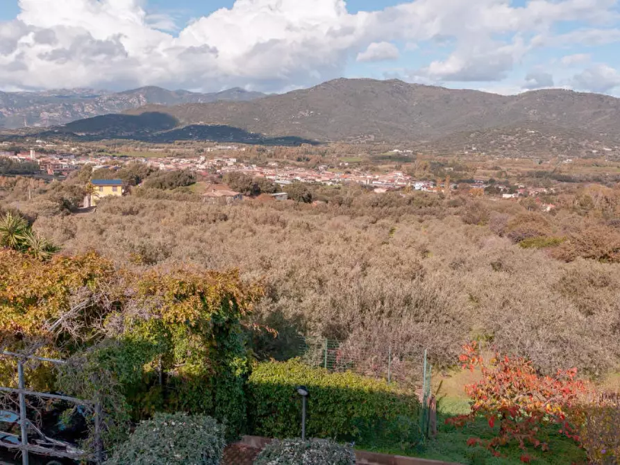 Immagine 100 di Villa in vendita  in Località Sas Vides a Torpè