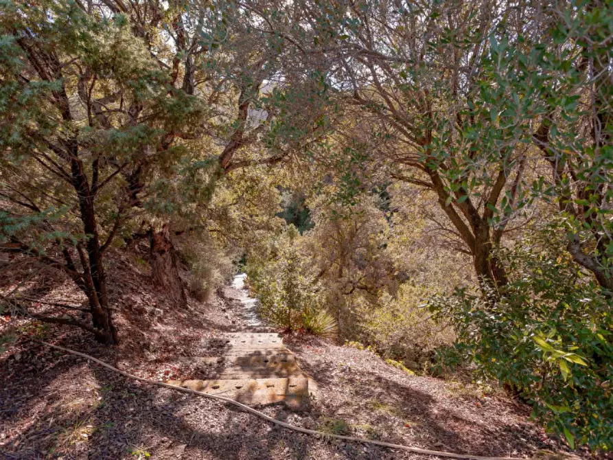 Immagine 103 di Villa in vendita  in Località Sas Vides a Torpè