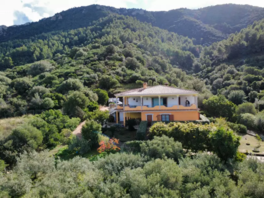 Immagine 105 di Villa in vendita  in Località Sas Vides a Torpè