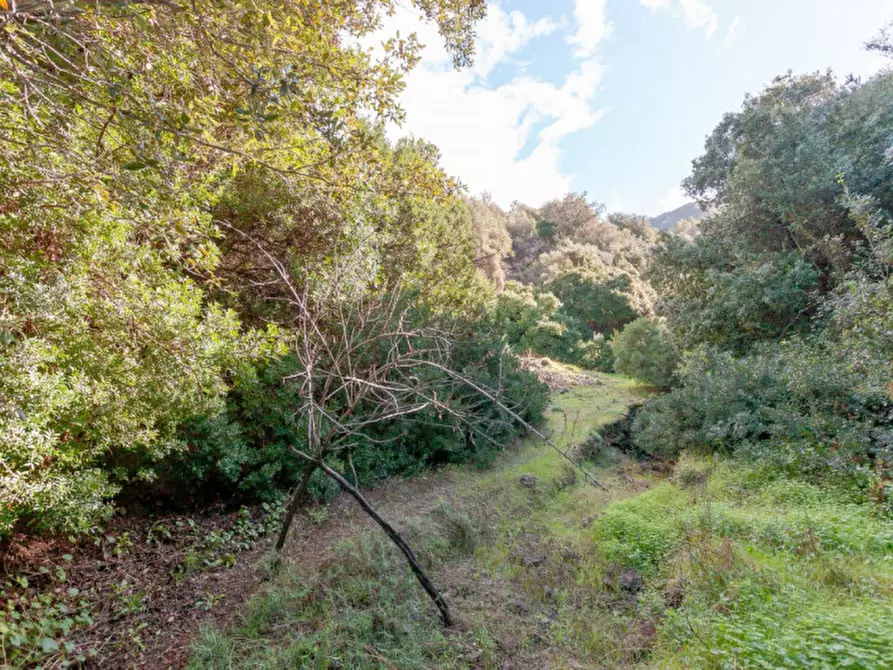 Immagine 108 di Villa in vendita  in Località Sas Vides a Torpè