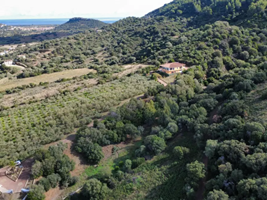 Immagine 111 di Villa in vendita  in Località Sas Vides a Torpè