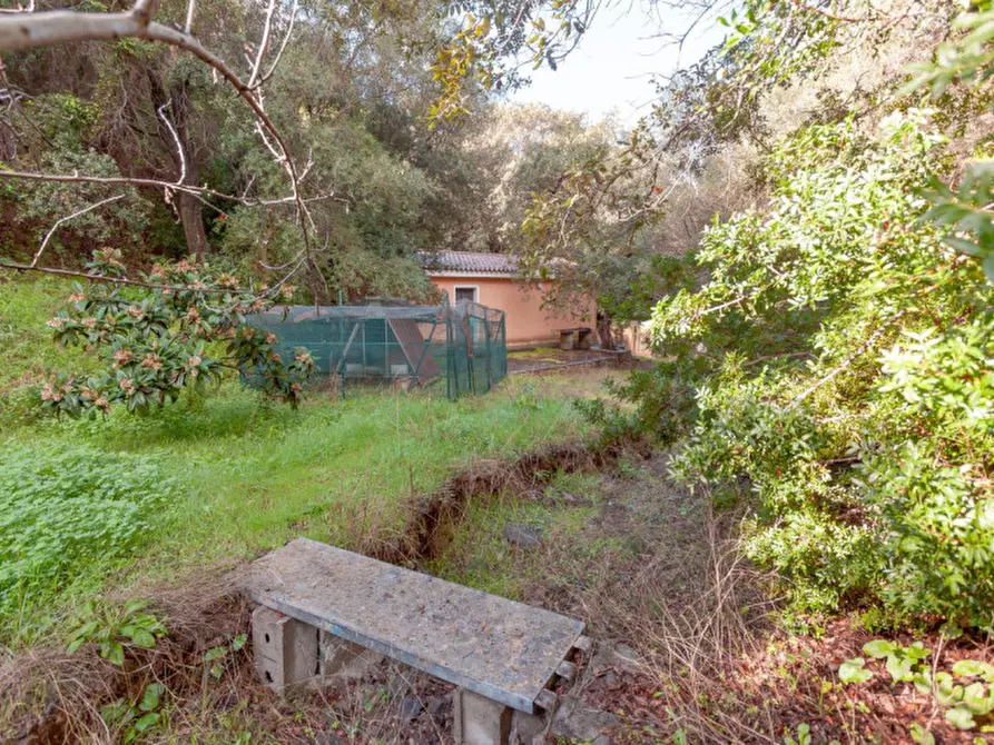 Immagine 111 di Villa in vendita  in Località Sas Vides a Torpè