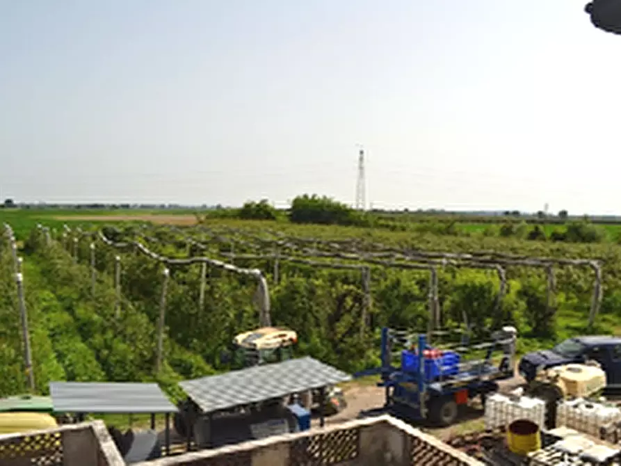 Immagine 8 di Casa bifamiliare in vendita  in Via Franzine 6 a Villa Bartolomea