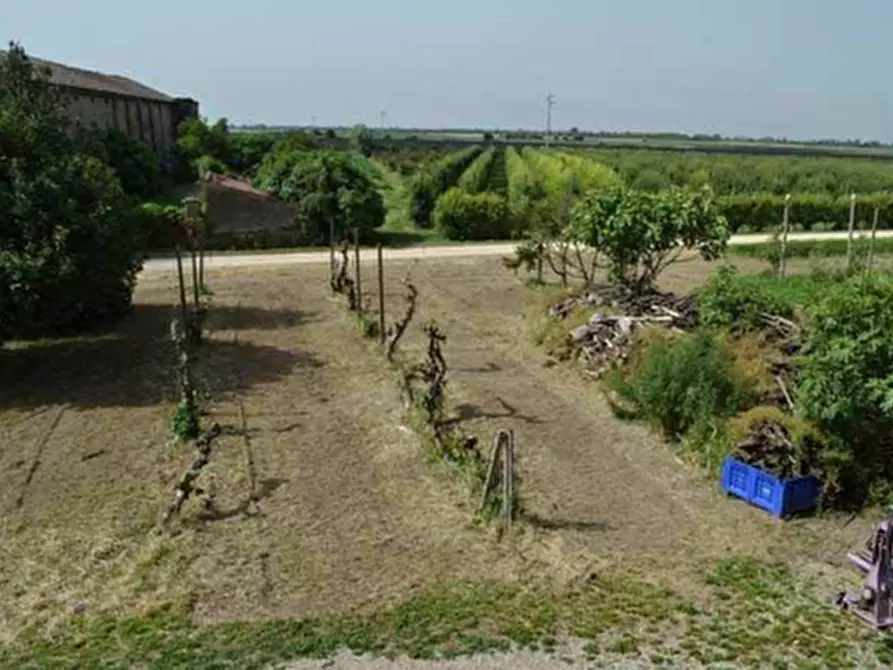 Immagine 9 di Casa bifamiliare in vendita  in Via Franzine 6 a Villa Bartolomea