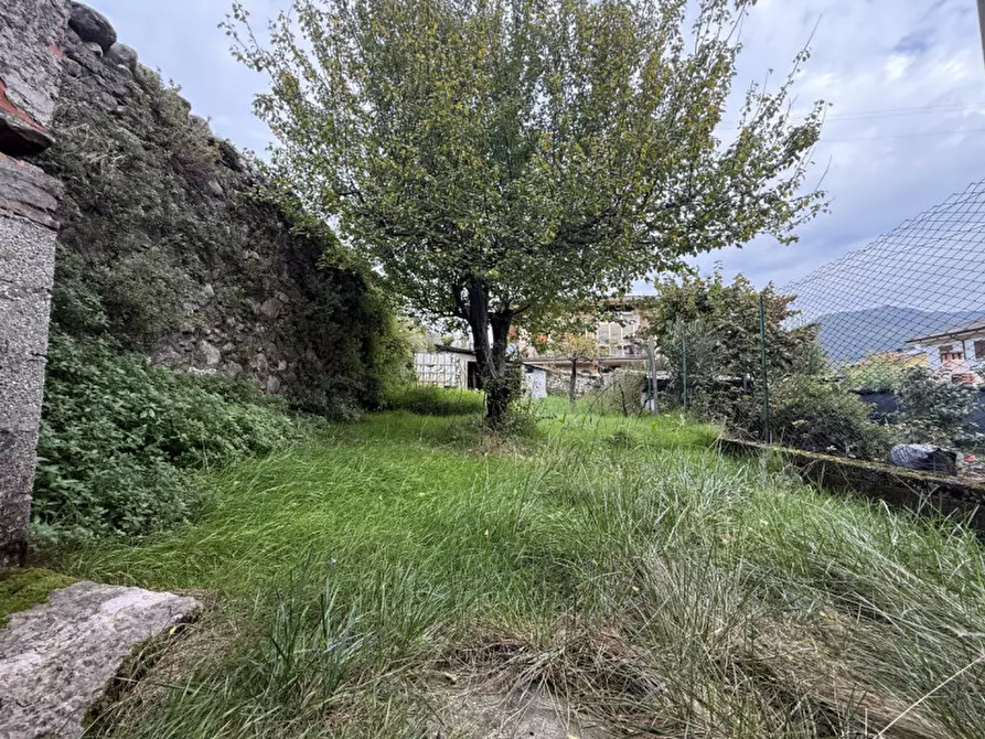 Immagine 7 di Rustico / casale in vendita  a Badia Calavena
