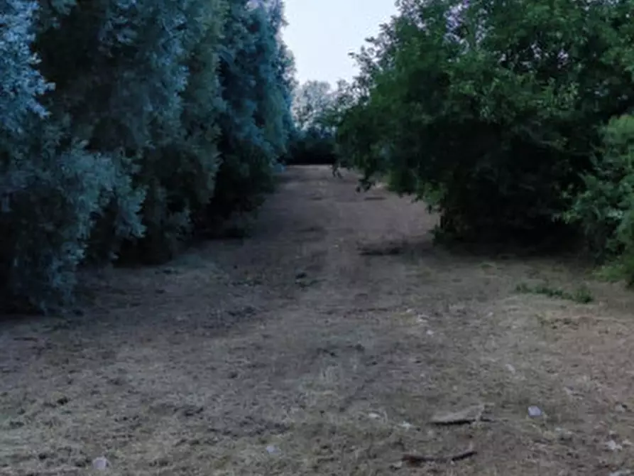 Immagine 3 di Rustico / casale in vendita  in via Comuna 18 a Este