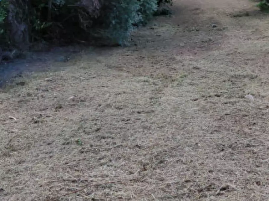 Immagine 11 di Rustico / casale in vendita  in via Comuna 18 a Este