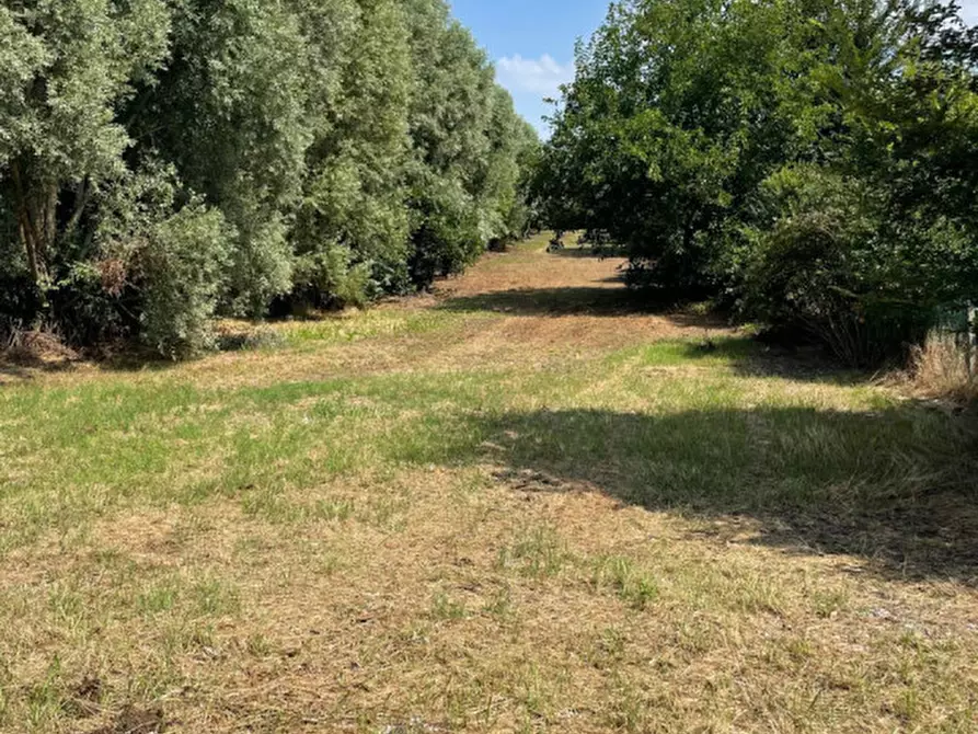 Immagine 12 di Rustico / casale in vendita  in via Comuna 18 a Este