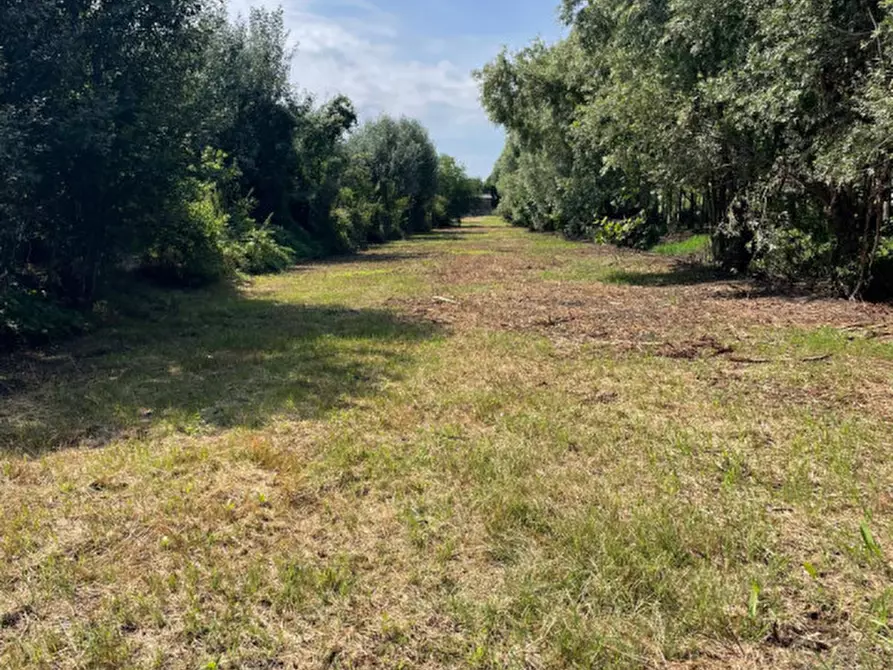 Immagine 13 di Rustico / casale in vendita  in via Comuna 18 a Este