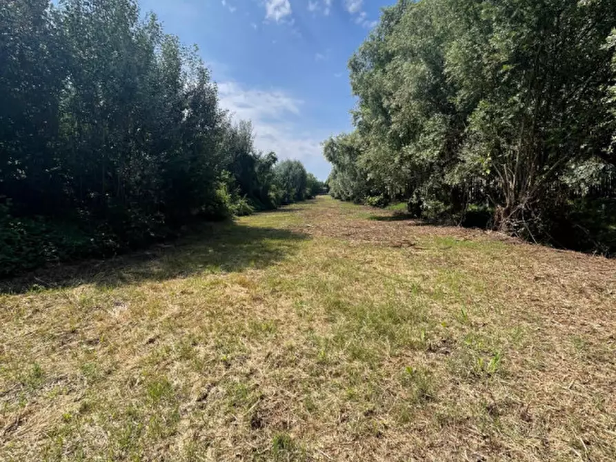 Immagine 14 di Rustico / casale in vendita  in via Comuna 18 a Este