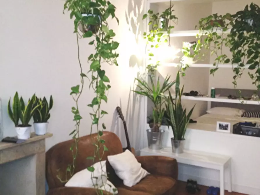 Immagine 1 di Appartamento in affitto  in VIA GHIBELLINA a Firenze