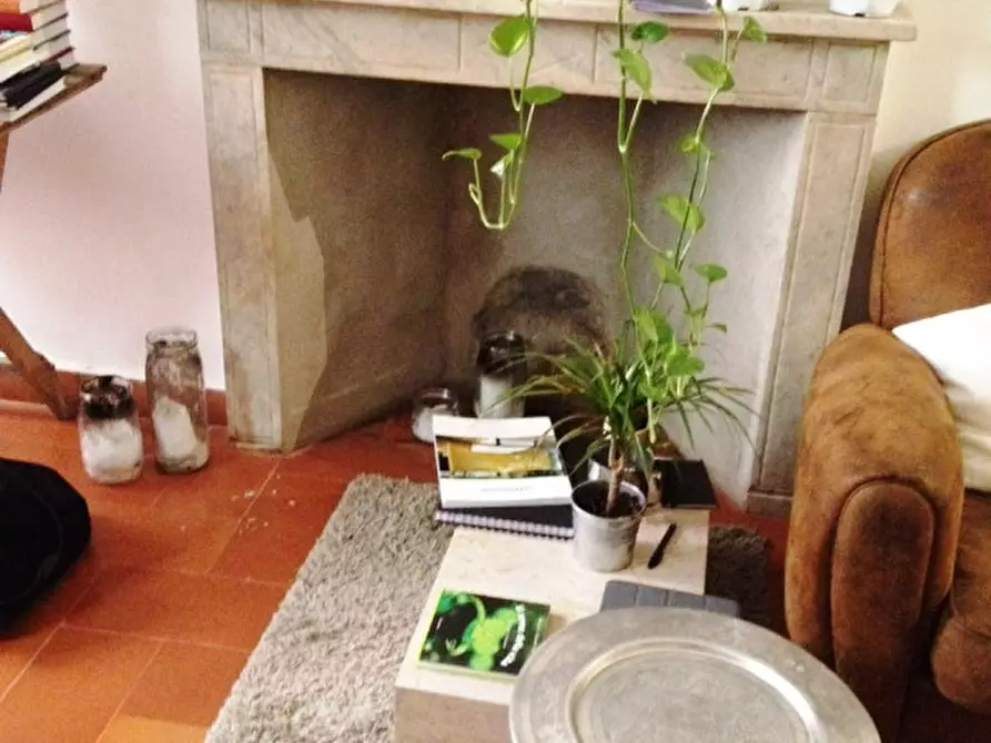 Immagine 2 di Appartamento in affitto  in VIA GHIBELLINA a Firenze