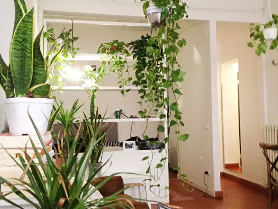 Immagine 4 di Appartamento in affitto  in VIA GHIBELLINA a Firenze