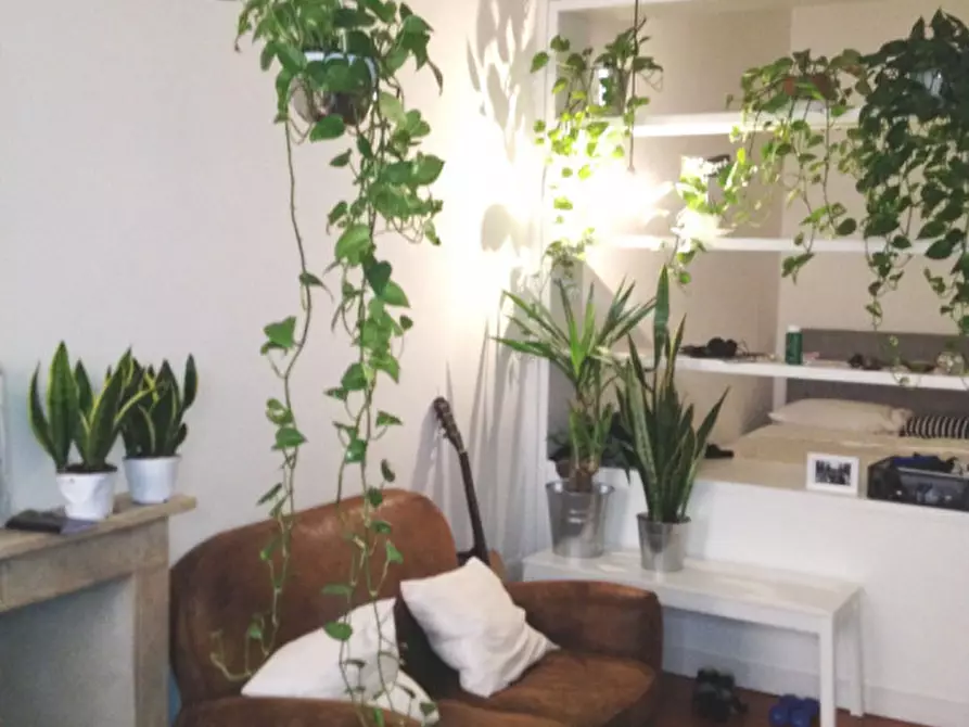 Immagine 17 di Appartamento in affitto  in VIA GHIBELLINA a Firenze