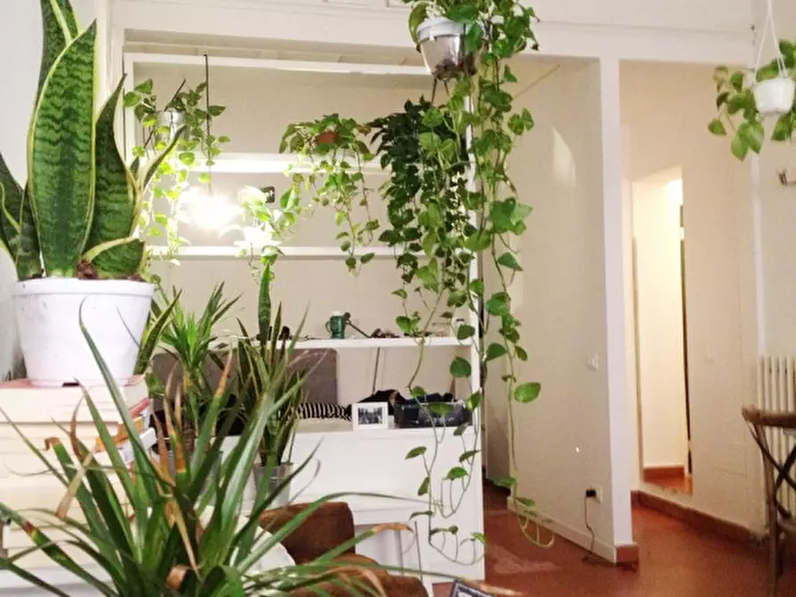 Immagine 20 di Appartamento in affitto  in VIA GHIBELLINA a Firenze