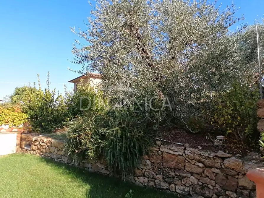 Immagine 50 di Casa indipendente in vendita  a Terricciola