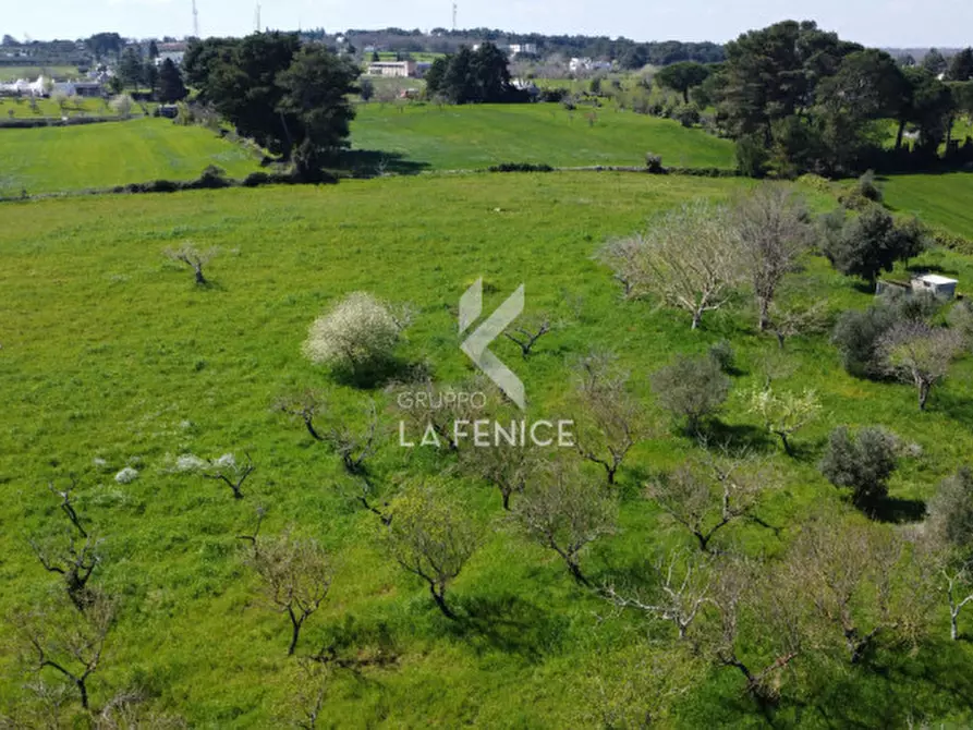 Immagine 36 di Rustico / casale in vendita  in Strada Trasconi a Martina Franca