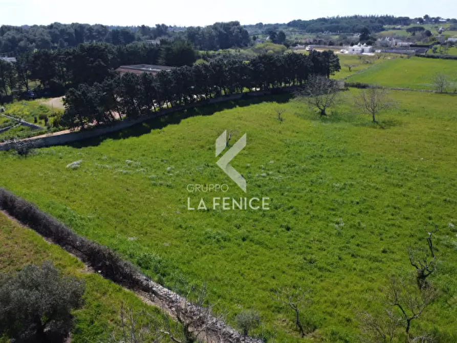 Immagine 37 di Rustico / casale in vendita  in Strada Trasconi a Martina Franca