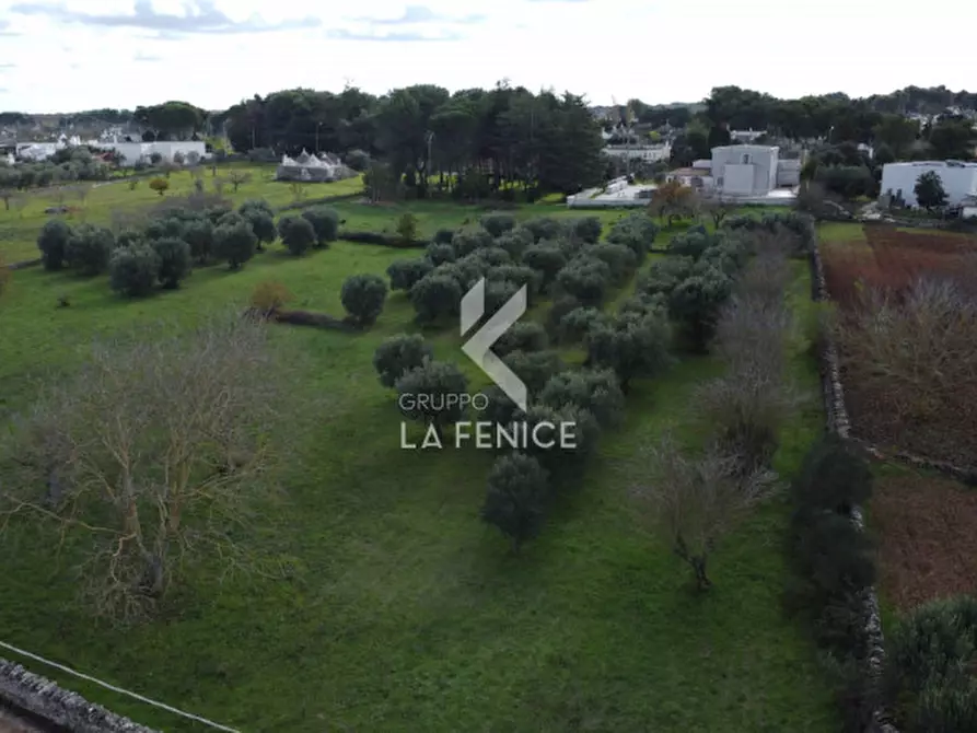 Immagine 3 di Rustico / casale in vendita  in strada peppuccio a Martina Franca