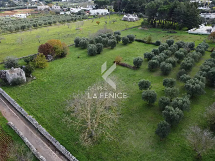 Immagine 4 di Rustico / casale in vendita  in strada peppuccio a Martina Franca