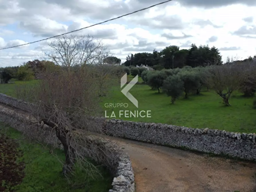 Immagine 5 di Rustico / casale in vendita  in strada peppuccio a Martina Franca