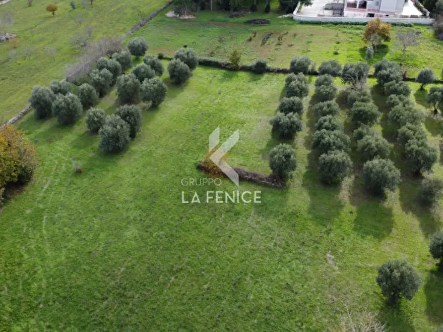 Immagine 6 di Rustico / casale in vendita  in strada peppuccio a Martina Franca