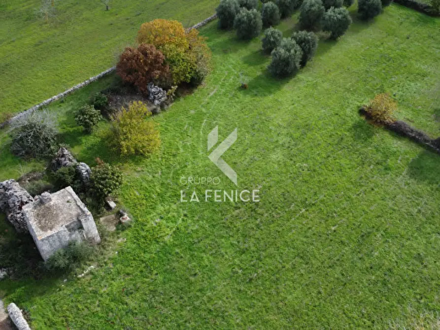 Immagine 7 di Rustico / casale in vendita  in strada peppuccio a Martina Franca