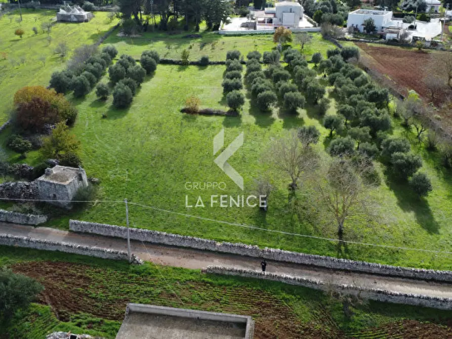 Immagine 8 di Rustico / casale in vendita  in strada peppuccio a Martina Franca