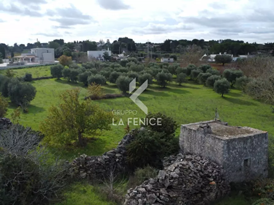 Immagine 9 di Rustico / casale in vendita  in strada peppuccio a Martina Franca