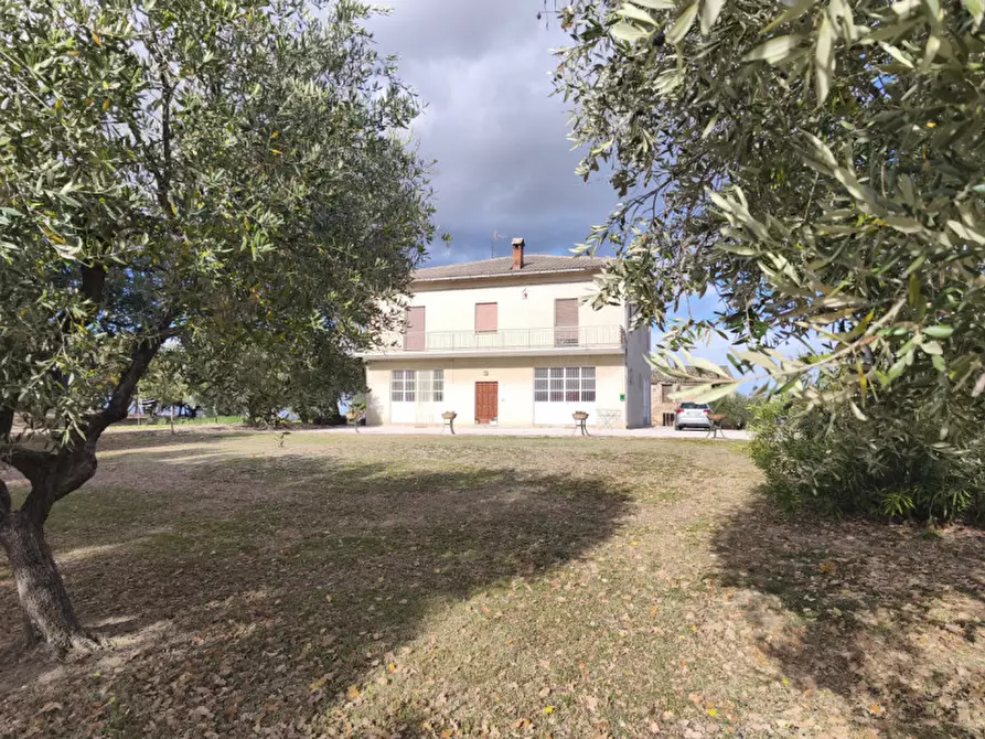 Immagine 2 di Casa indipendente in vendita  in VIA SERRALTA a Montecassiano